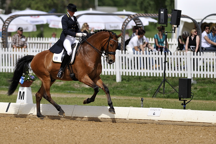 20090524 110347 Pferd Internatio
