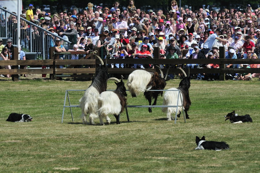20090530  DSC2224