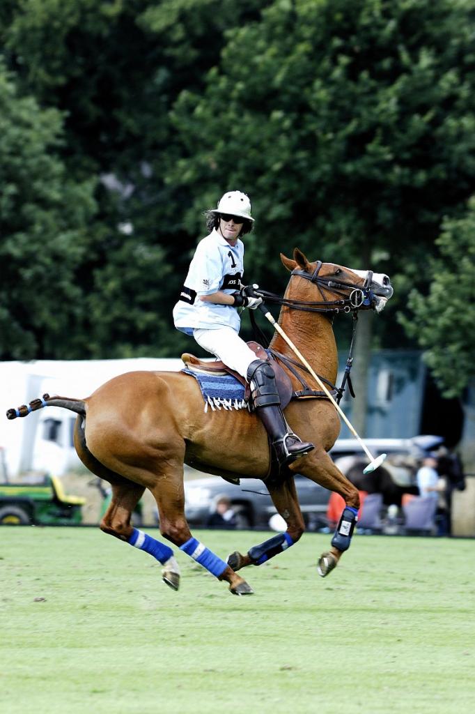 20090725 1894 [D2Xs]   F5,0 300,00mm