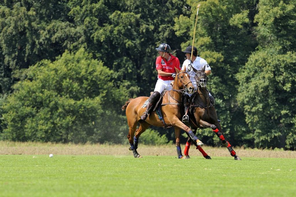 20090726 0251 [D700]   F8,0 300,00mm