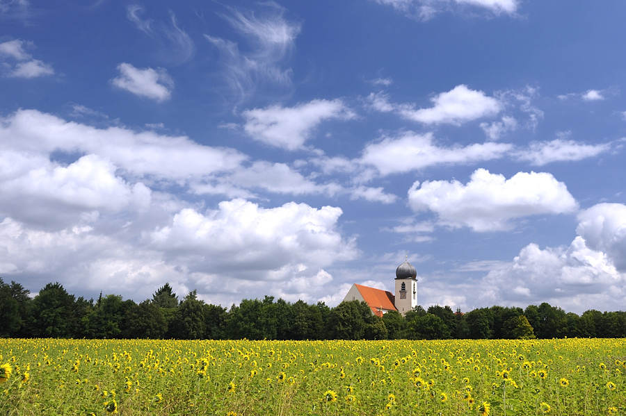 20090728 130646 Blutenburg Sonne
