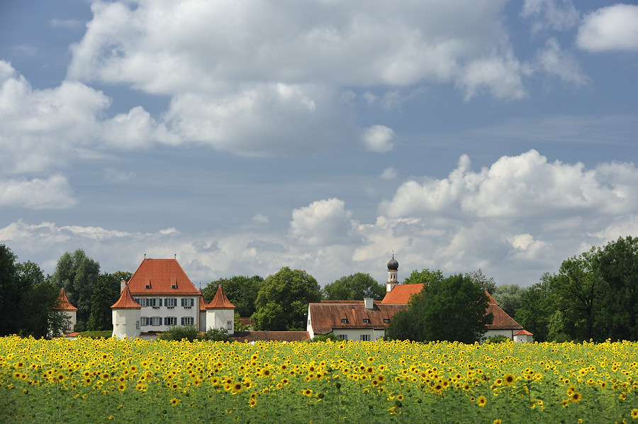 20090728 134432 Blutenburg Sonne