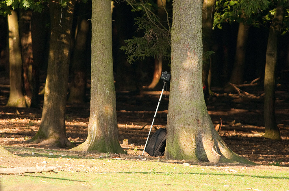 20090926 3057 [NIKON D2Xs]   500 mm  1 180 Sek. bei ƒ   4,8