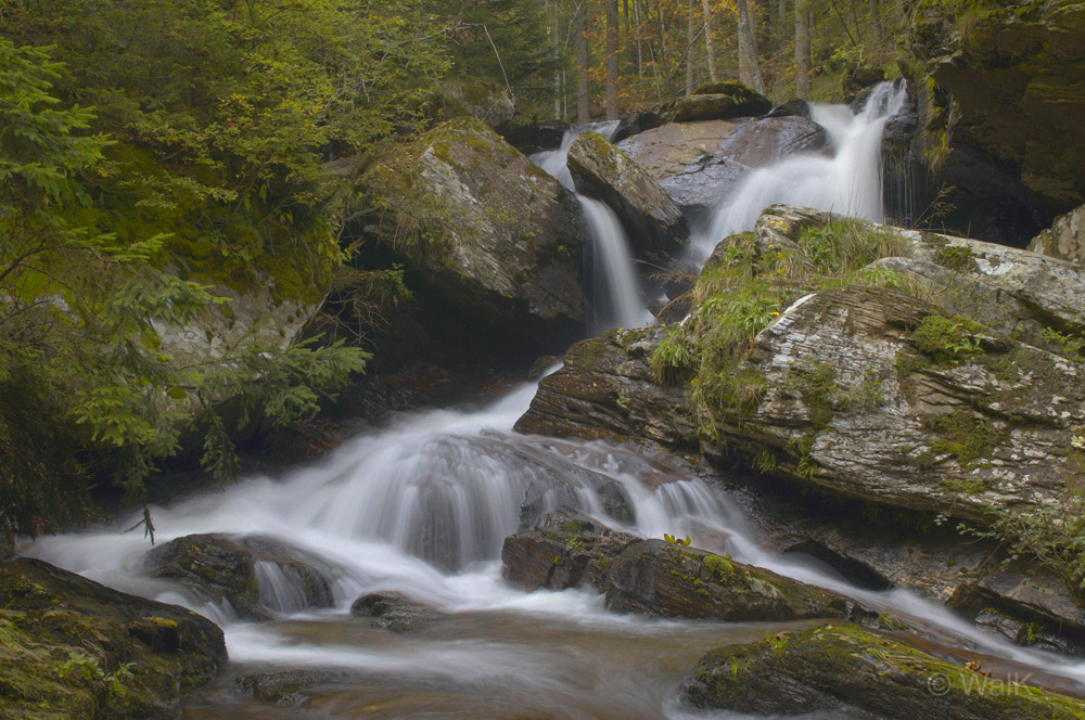 20091001 008 NFF
Die Schwarze und Weiße Sulm entspringen am Ostabfall der Koralpe, die ein Teil des steirischen Randgebirges ist.
Sie zählen sowohl we