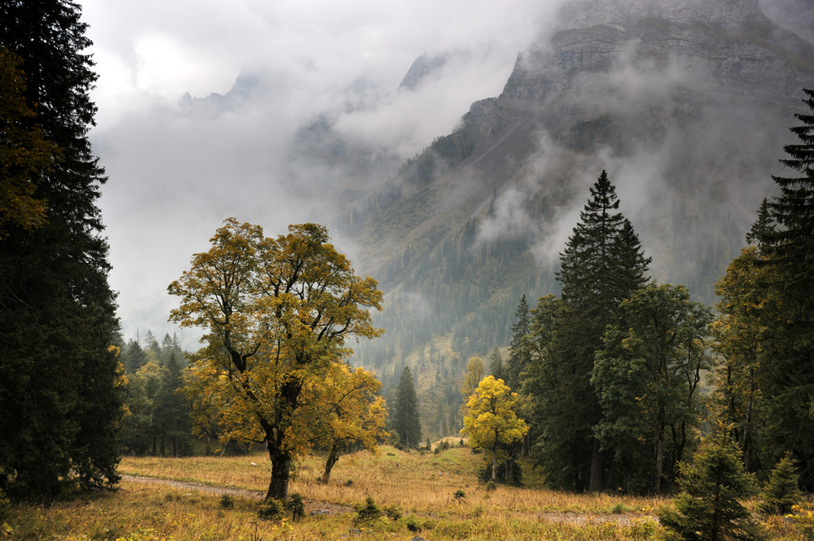 20091002 103619a Karwendel