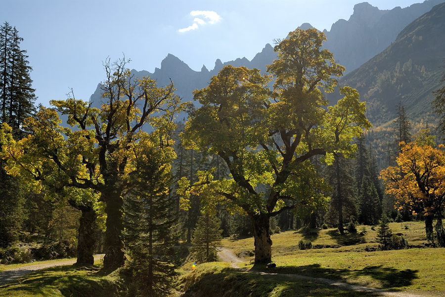 20091007 113253 Karwendel, kleiner Ahornboden