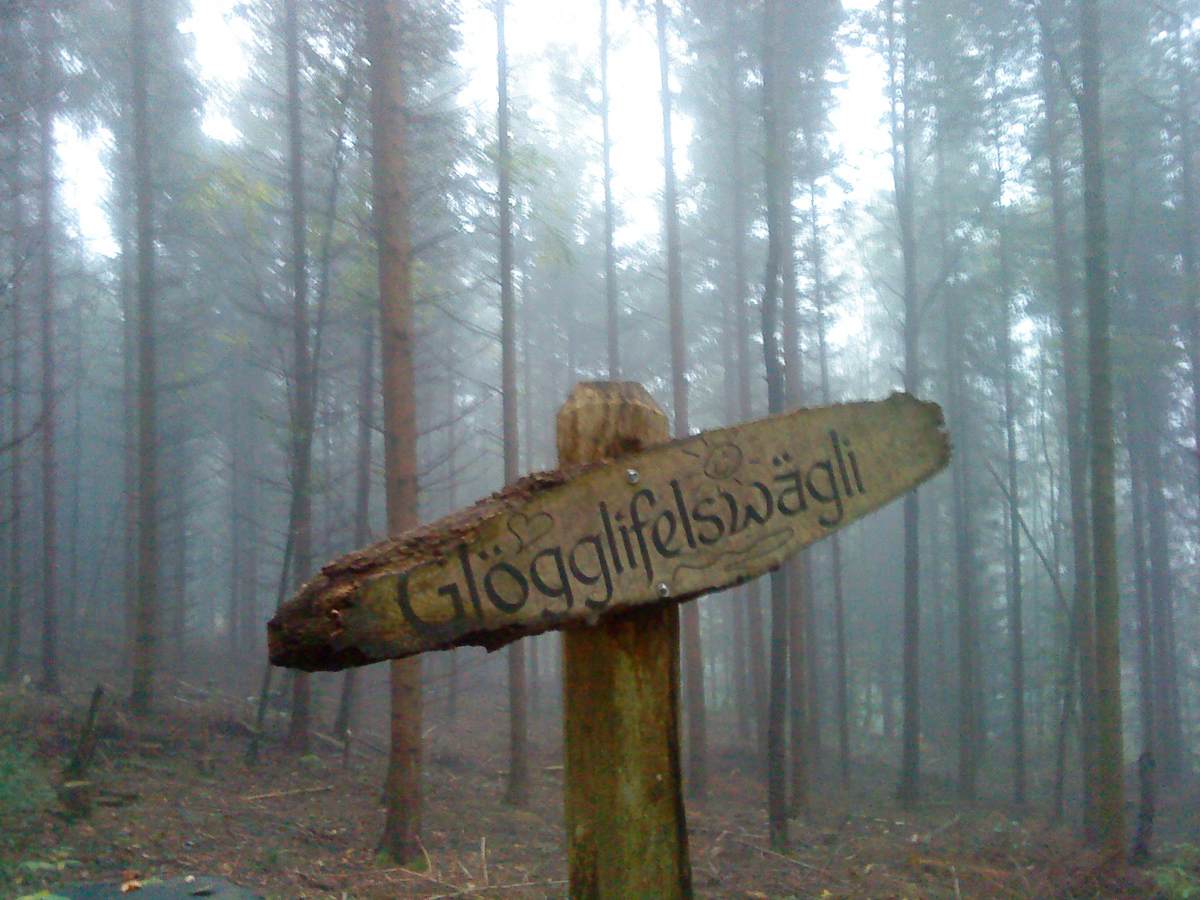 20091009_162700nf.jpg