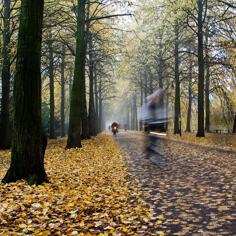 20091029 2271 [NIKON D40]   18 mm  1 2 Sek. bei ƒ   9,0 3