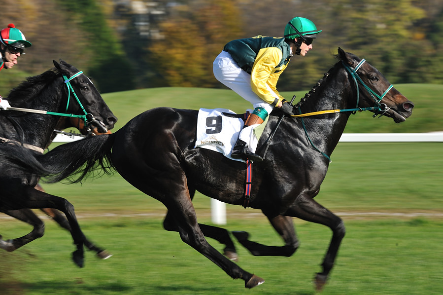 20091101 135237 galopp muenchen 04