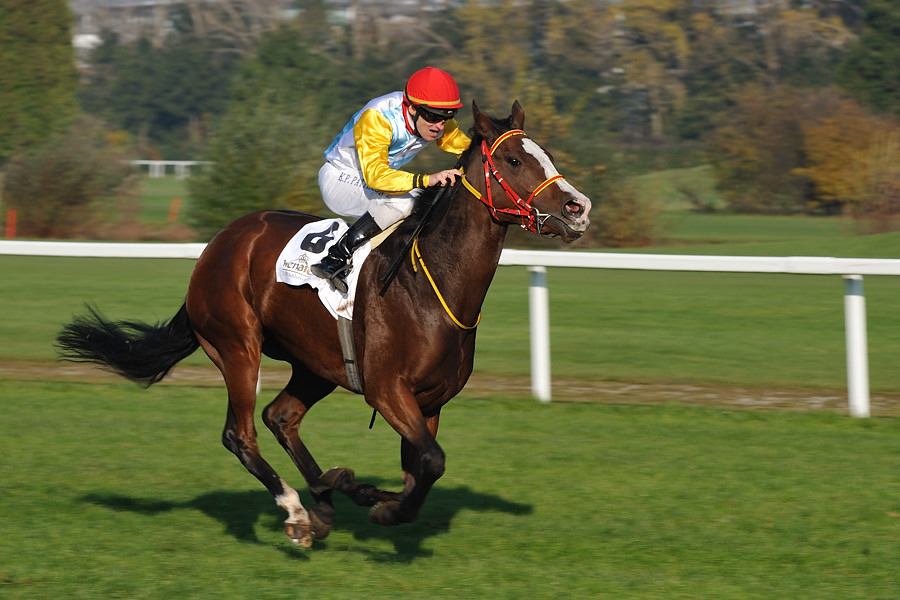 20091101 145117 galopp muenchen