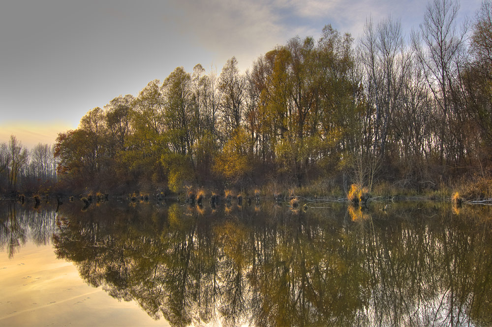 20091115 004 5 6 tonemapped (erster Photomatix Versuch)

Die Donauauen bei Grafenwörth in Niederösterreich.
