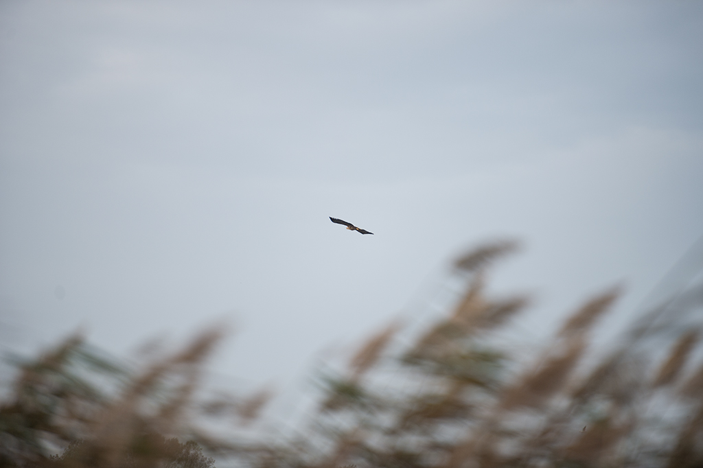 200mm