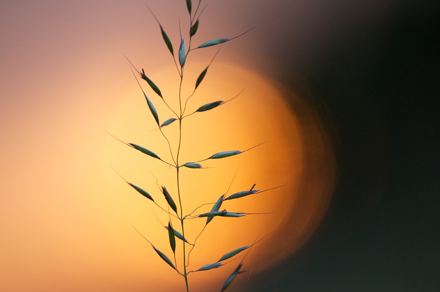 200sonnenuntergang