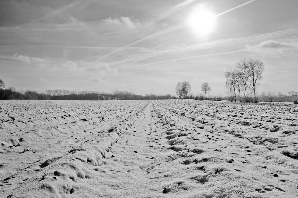 2010 01 31 12 54 25 1