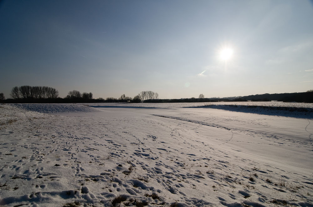2010 02 16 15 46 54 1