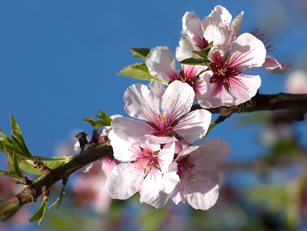 2010 04 18  DSC0995