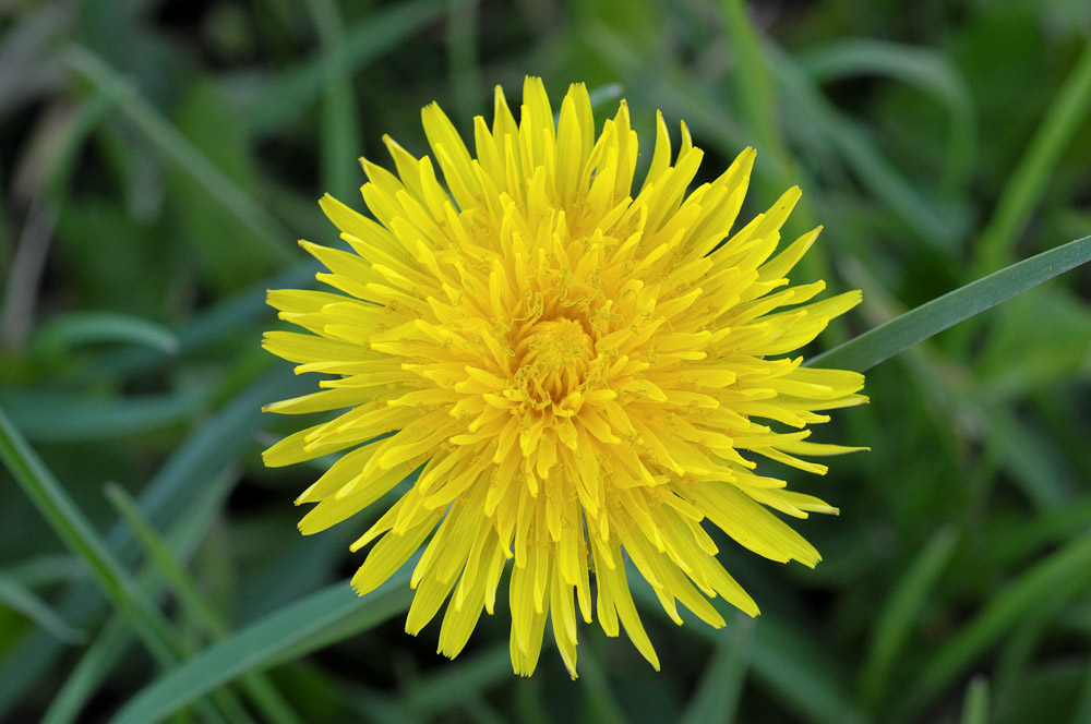 2010 04 22 18 25 55 1