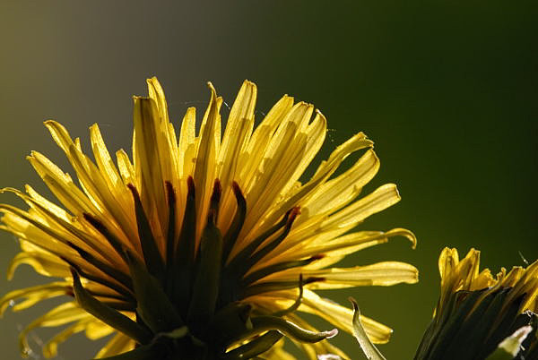 2010 05 05 18 17 53
