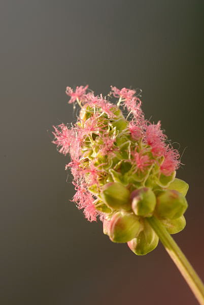 2010 06 21 19 59 05
