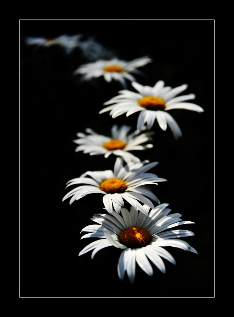 2010 07 19 15 57 06 b