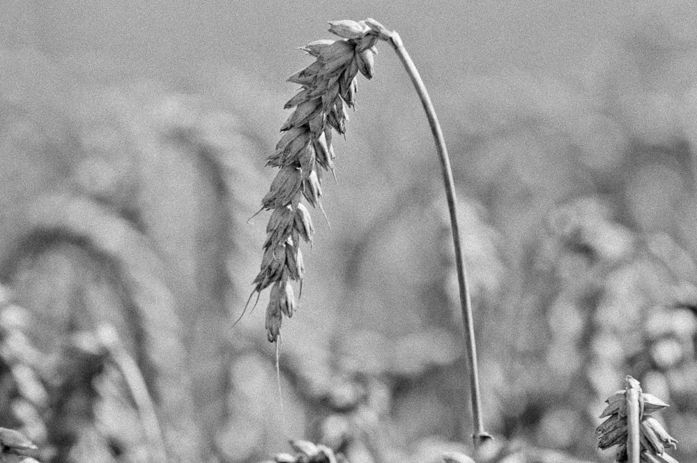 2010 08 07 11 18 40 1