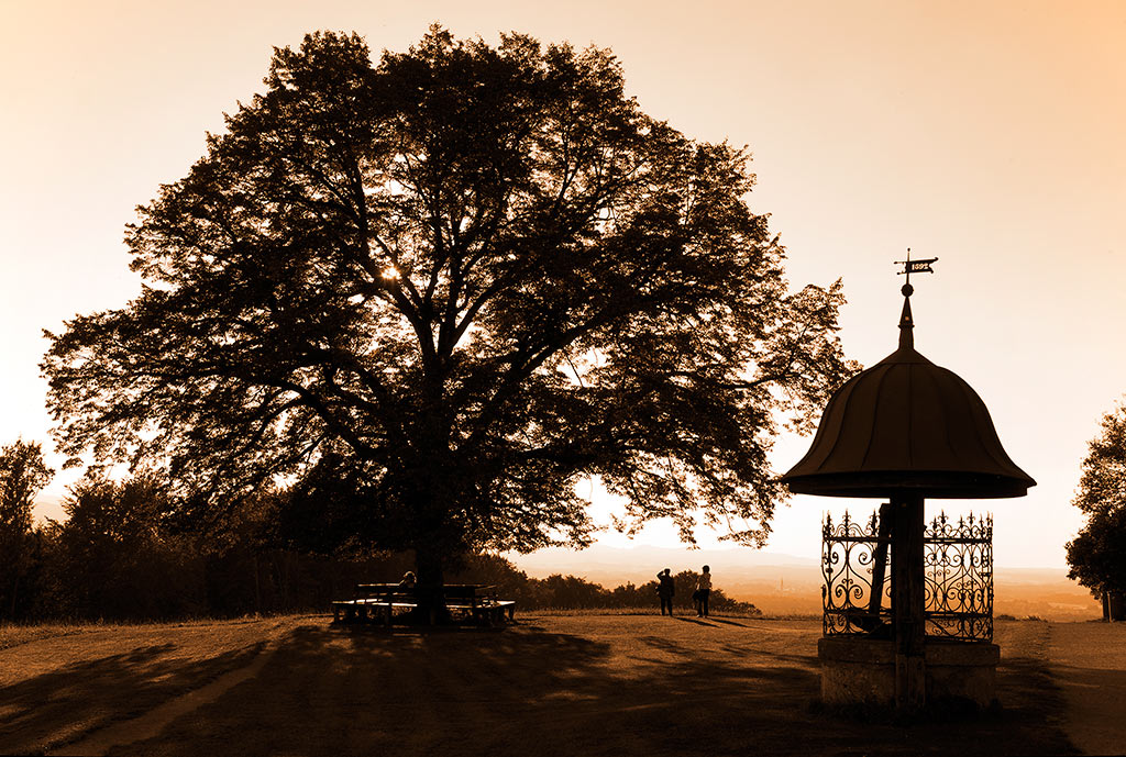 2010 09 21  DSC3153 hsw