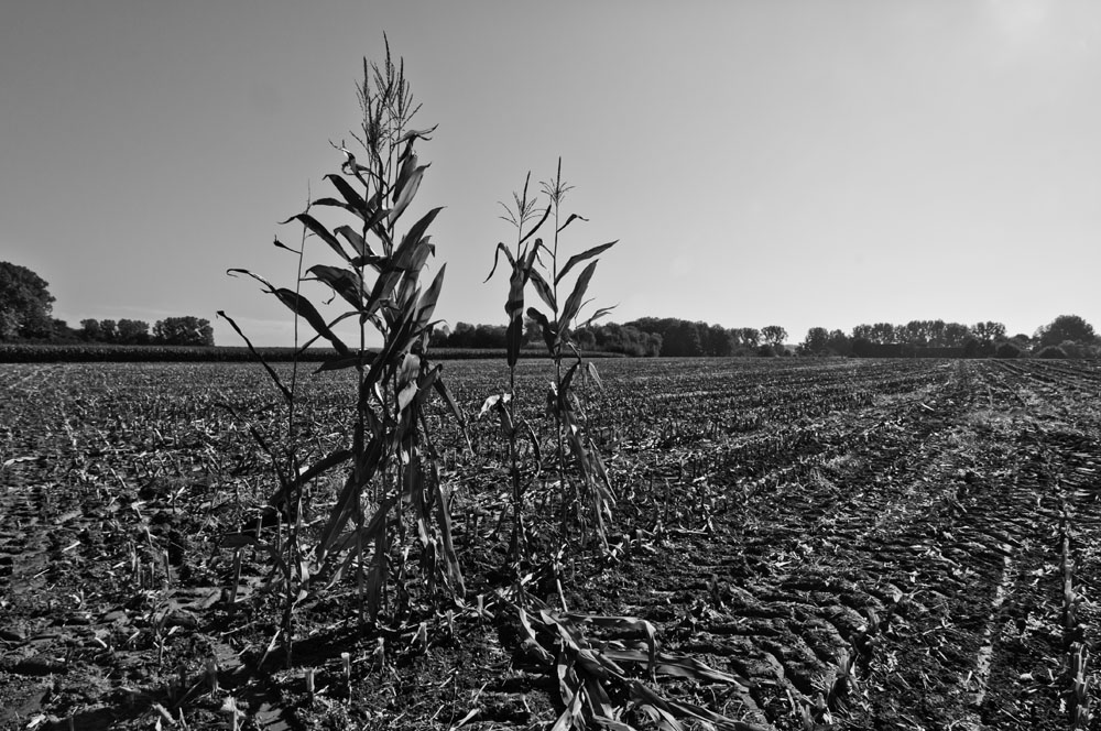 2010 10 09 12 11 56 1
