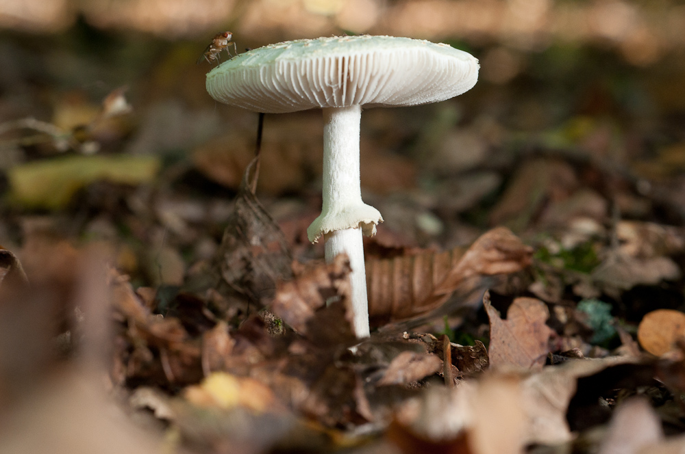 2010 10 09 14 58 29 1