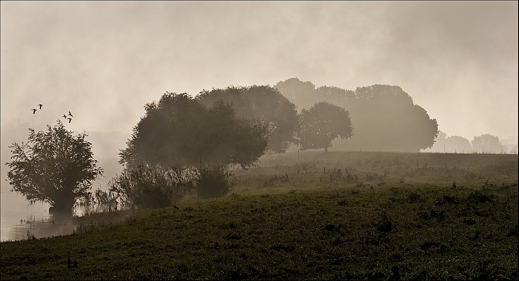 2010 10 11 08 47 13 a