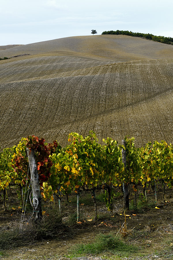 2010 10 #50