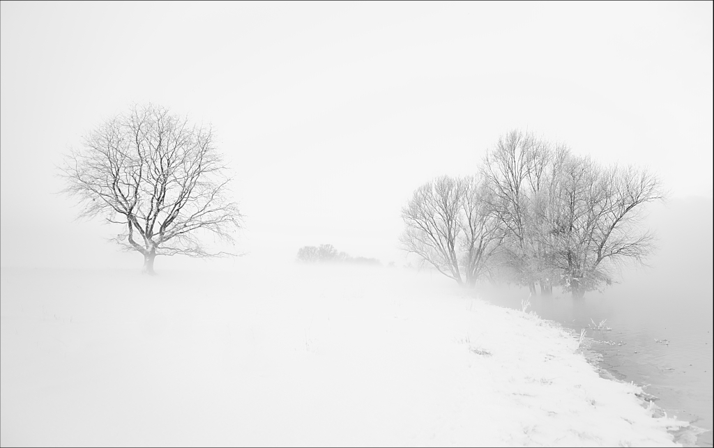 2010 12 18 08 38 49 a