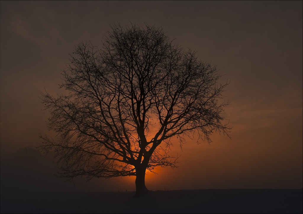 2010 12 18 08 42 15 a