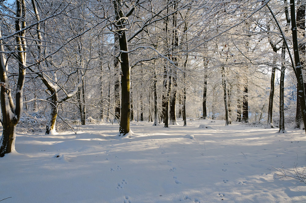 2010 12 18 12 32 04 1