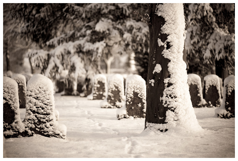 20100103  DSC5117
