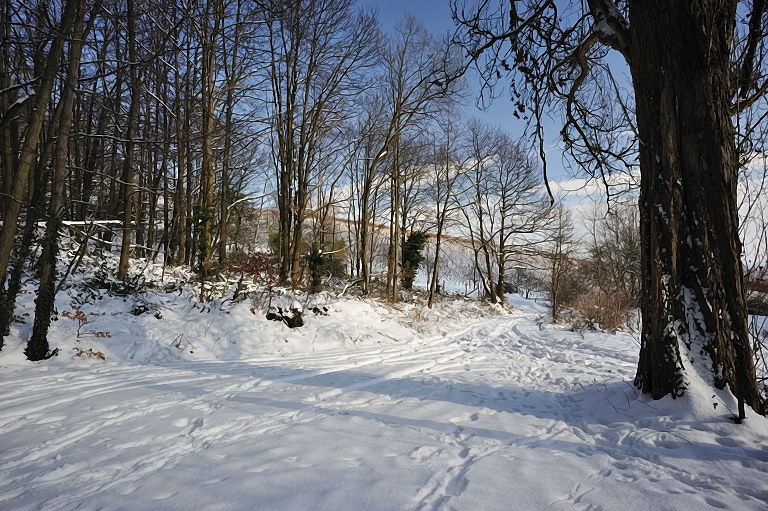 20100131 134816 d70