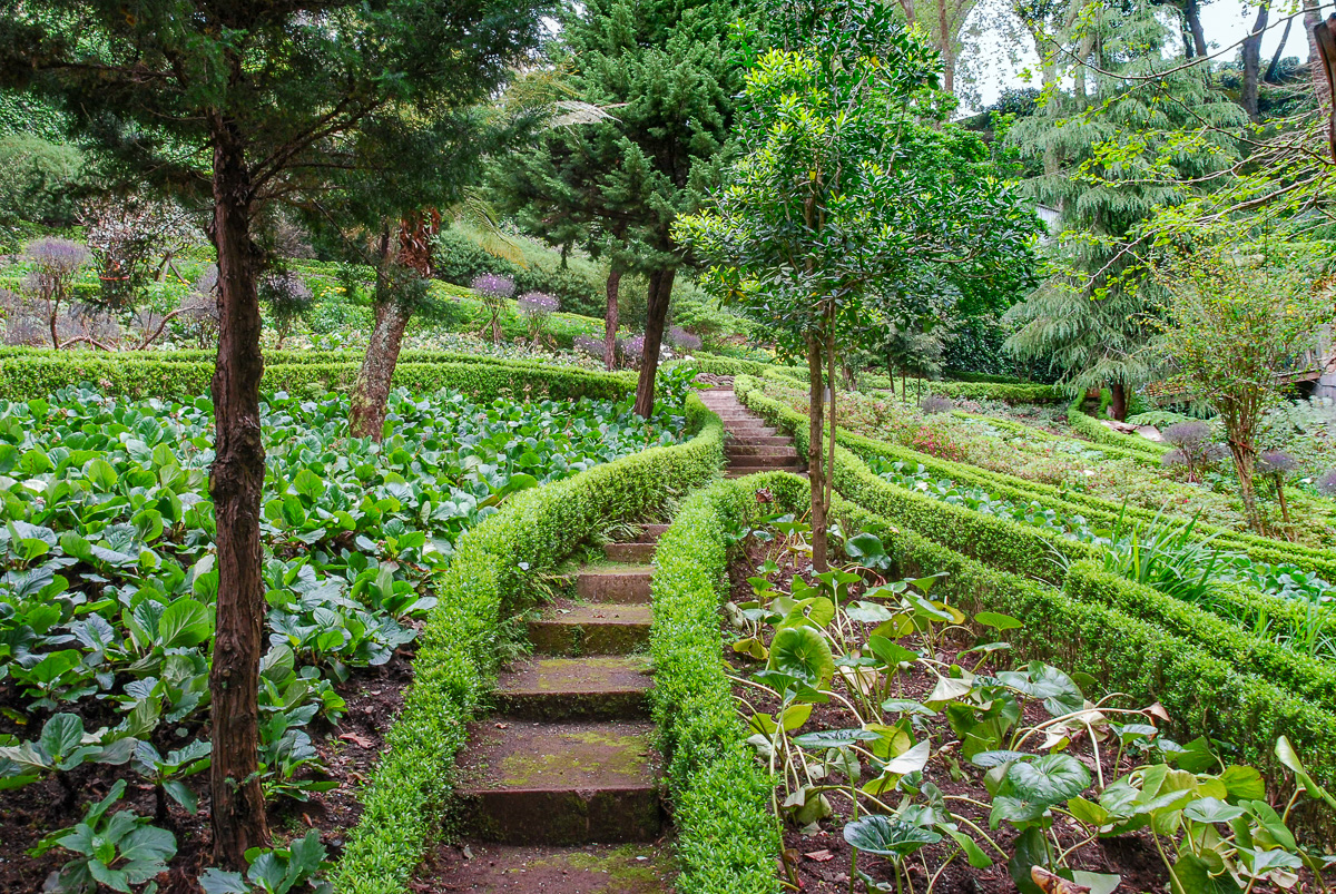 20100501-DSC_0108.jpg