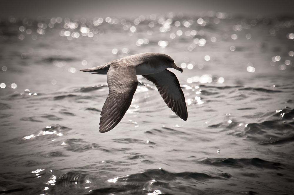 20100506 1TH 6859