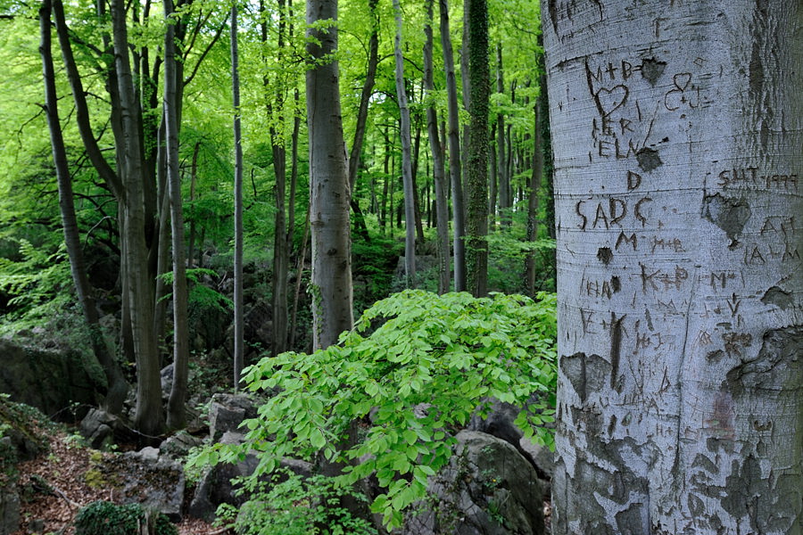 20100510 160920