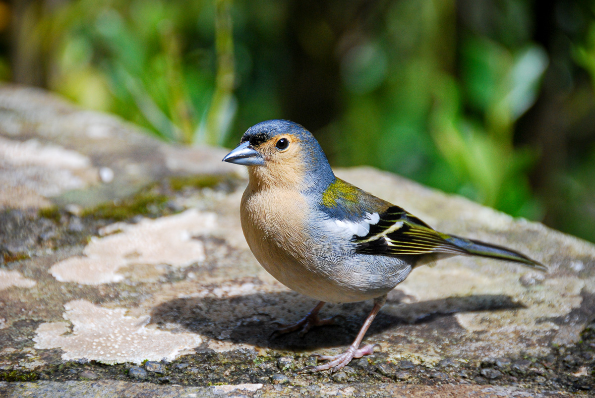 20100510-DSC_0551.jpg