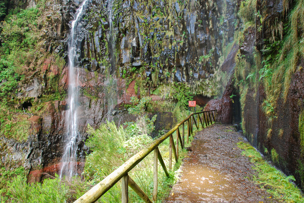 20100510-DSC_0555.jpg