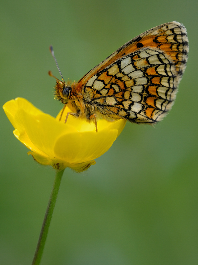20100511 152522