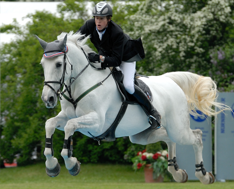 20100516 152803a pferd internatio