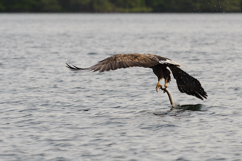 20100517 5853 [NIKON D700]   300 mm  1 640 Sek. bei ƒ   8,0 2