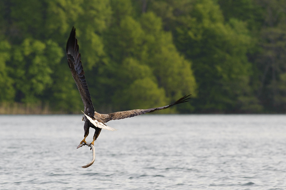 20100517 5856 [NIKON D700]   300 mm  1 640 Sek. bei ƒ   8,0 3