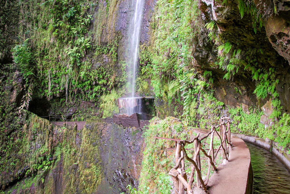 20100517-DSC_0889.jpg
