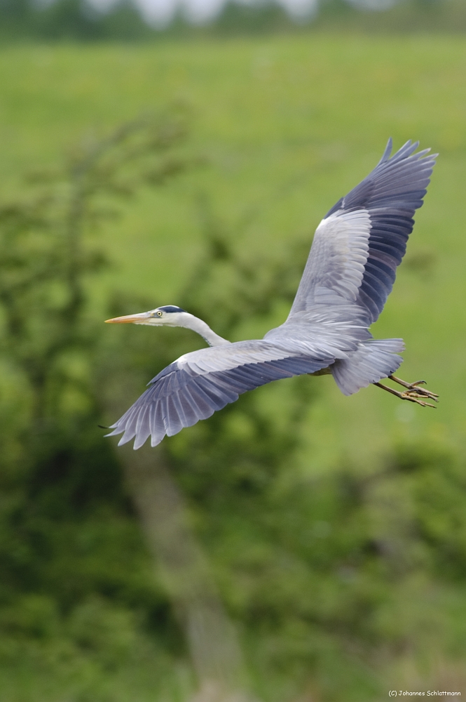 20100518 6422 [NIKON D700]   500 mm  1 320 Sek. bei ƒ   6,3