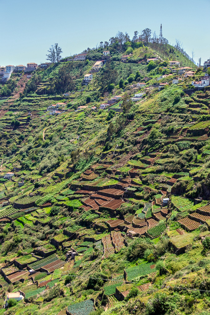 20100519-DSC_0069.jpg