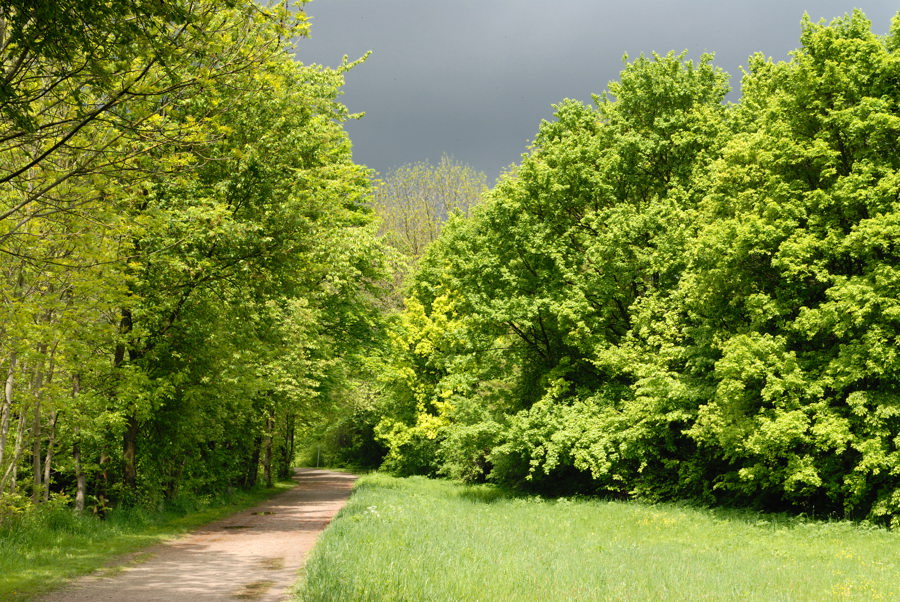 20100521 134814 pasing