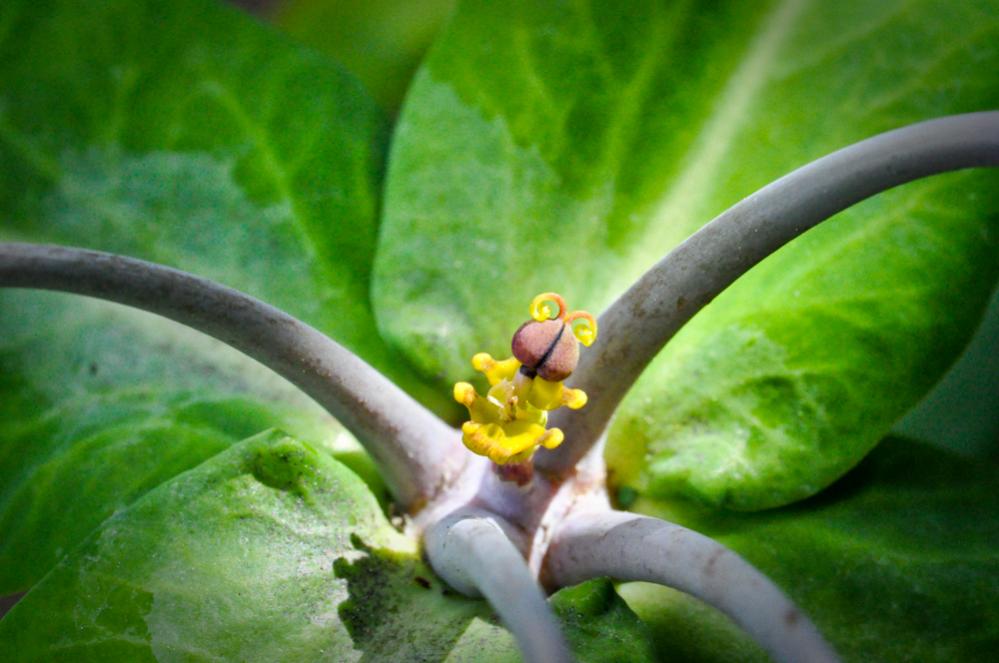 20100521032 Bearbeitet