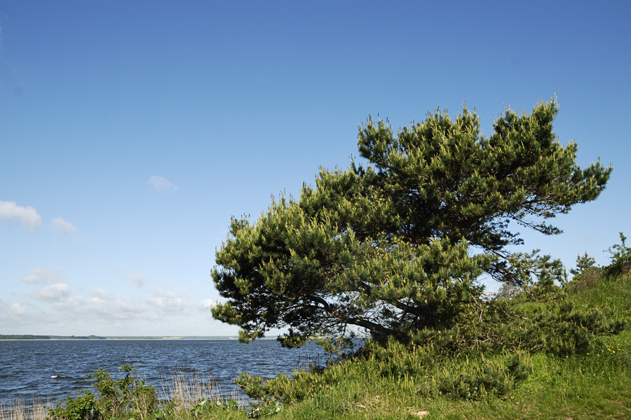 20100529 19 Usedom
